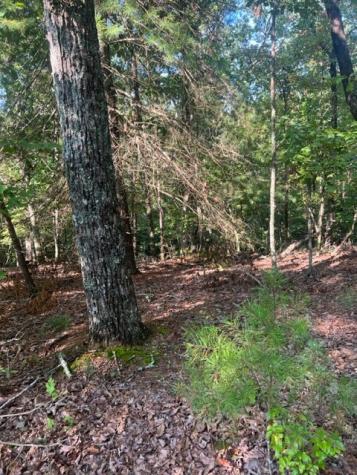 Lt 33 Buck Creek Road Ellijay GA 30540