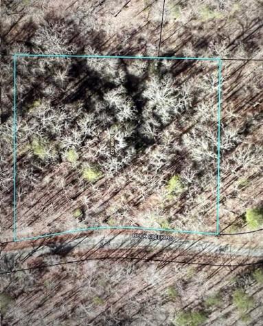 Lt 33 Buck Creek Road Ellijay GA 30540