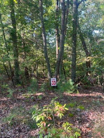 Lt 33 Buck Creek Road Ellijay GA 30540