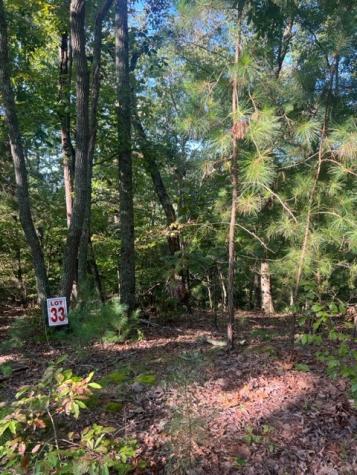 Lt 33 Buck Creek Road Ellijay GA 30540