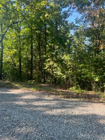 Lt 33 Buck Creek Road Ellijay GA 30540