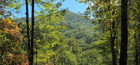 595 Horton Road Murphy NC 28906