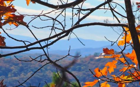 6&7OFLT2 Valley View Heights Lane Andrews NC 28901