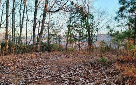 6&7OFLT2 Valley View Heights Lane Andrews NC 28901