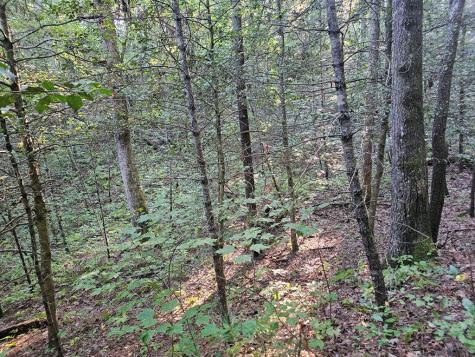 0 Bates Drive Ellijay GA 30540