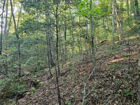 0 Bates Drive Ellijay GA 30540