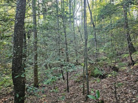 0 Bates Drive Ellijay GA 30540