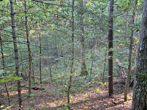 0 Bates Drive Ellijay GA 30540