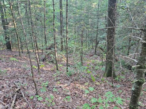 0 Bates Drive Ellijay GA 30540