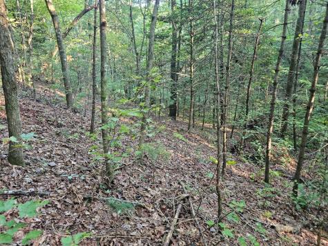 0 Bates Drive Ellijay GA 30540