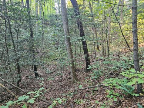 0 Bates Drive Ellijay GA 30540