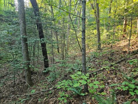 0 Bates Drive Ellijay GA 30540