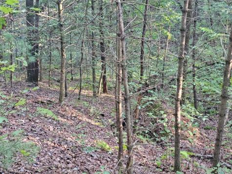 0 Bates Drive Ellijay GA 30540