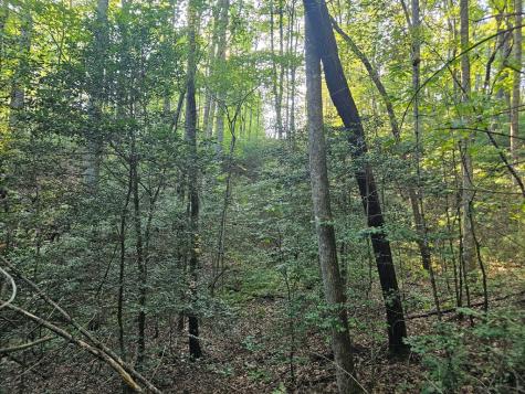 0 Bates Drive Ellijay GA 30540