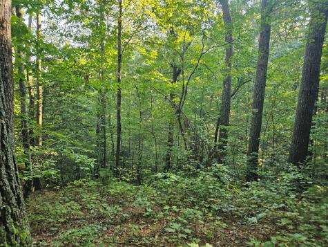 0 Bates Drive Ellijay GA 30540