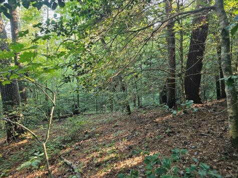 0 Bates Drive Ellijay GA 30540