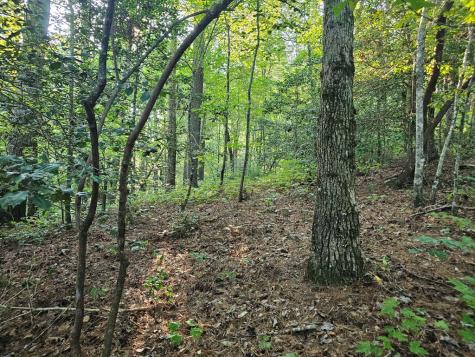 0 Bates Drive Ellijay GA 30540