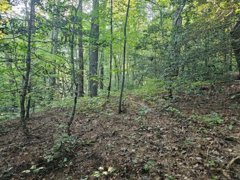 0 Bates Drive Ellijay GA 30540