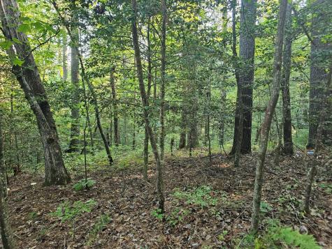 0 Bates Drive Ellijay GA 30540