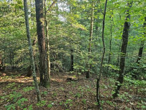 0 Bates Drive Ellijay GA 30540