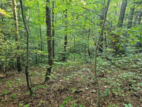 0 Bates Drive Ellijay GA 30540