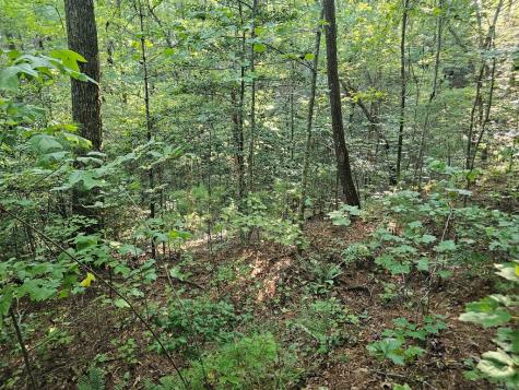 0 Bates Drive Ellijay GA 30540