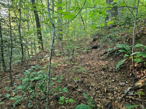 0 Bates Drive Ellijay GA 30540