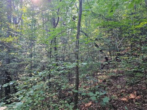 0 Bates Drive Ellijay GA 30540