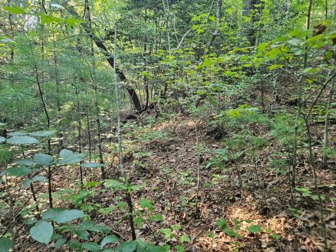 0 Bates Drive Ellijay GA 30540