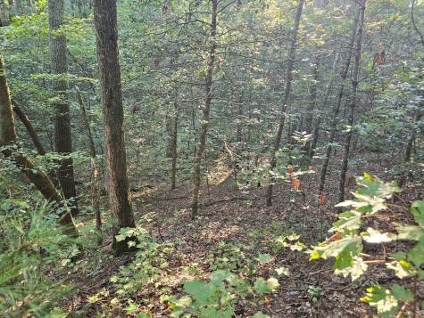 0 Bates Drive Ellijay GA 30540