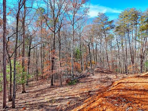 223 Watkins Road Blairsville GA 30512