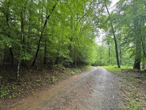1.23 Ac Bear Run Circle Ellijay GA 30540