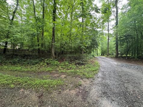 1.23 Ac Bear Run Circle Ellijay GA 30540