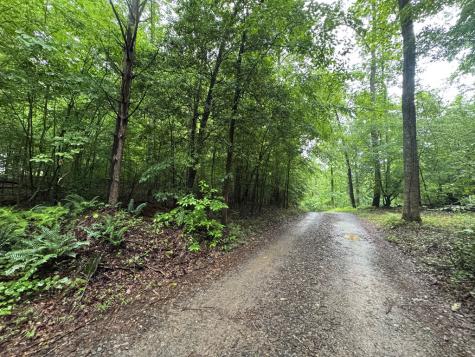 1.23 Ac Bear Run Circle Ellijay GA 30540