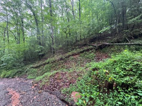 1.23 Ac Bear Run Circle Ellijay GA 30540