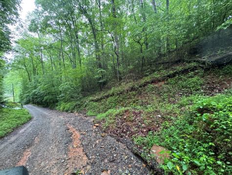 1.23 Ac Bear Run Circle Ellijay GA 30540