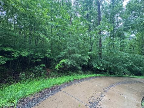 1.23 Ac Bear Run Circle Ellijay GA 30540