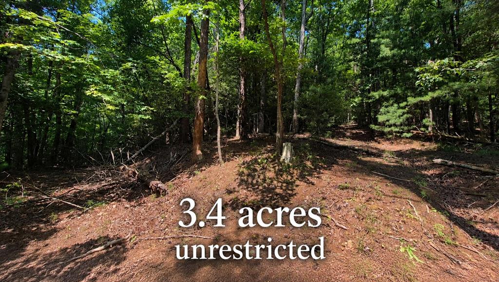 3.4 Acre Peach Lane Ellijay GA 30536