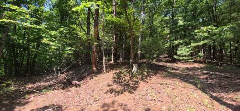 3.4 Acre Peach Lane Ellijay GA 30536