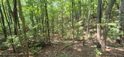 3.4 Acre Peach Lane Ellijay GA 30536