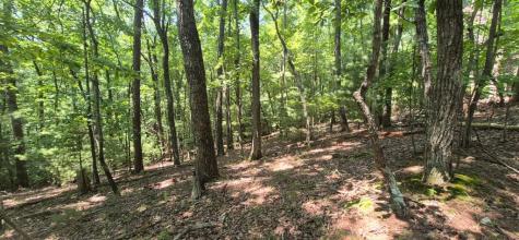 3.4 Acre Peach Lane Ellijay GA 30536