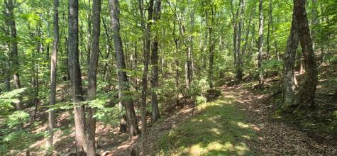 3.4 Acre Peach Lane Ellijay GA 30536