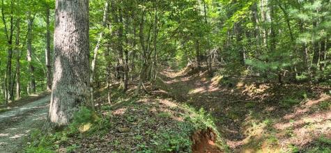 3.4 Acre Peach Lane Ellijay GA 30536