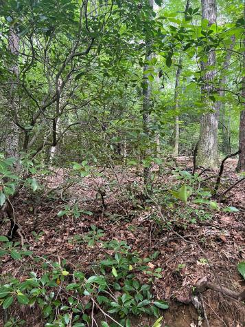 3.4 Acre Peach Lane Ellijay GA 30536