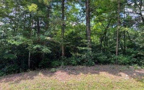 Lot 32 Fires Creek Cove Road Hayesville NC 28904