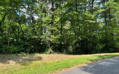 Lot 32 Fires Creek Cove Road Hayesville NC 28904