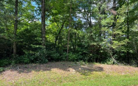 Lot 32 Fires Creek Cove Road Hayesville NC 28904