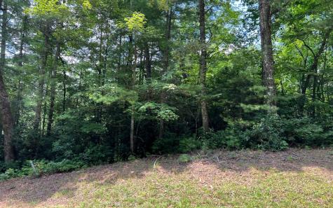Lot 32 Fires Creek Cove Road Hayesville NC 28904