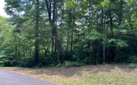 Lot 32 Fires Creek Cove Road Hayesville NC 28904