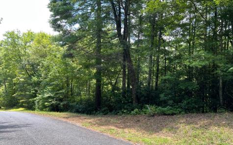 Lot 32 Fires Creek Cove Road Hayesville NC 28904